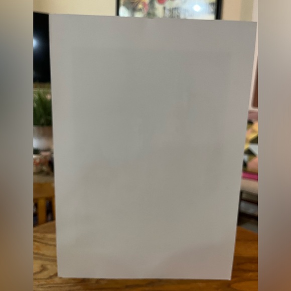 Disney World Cinderellas Castle North Face Art Print 15.5” x 11” - Picture 6 of 6